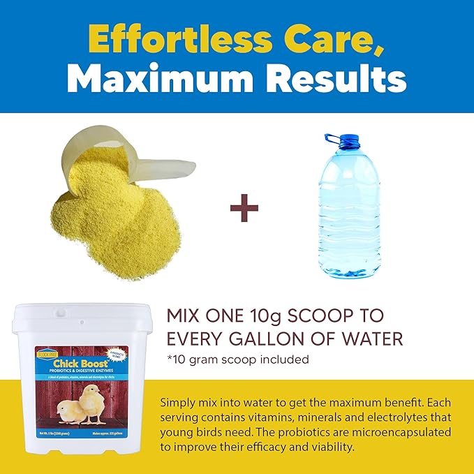 Equerry's Flock PRO Chick Boost Probiotic - Probiotics, Vitamins, Minerals and Electrolytes for Chickens | Chicken Vitamins and Supplements for All Poultry - 5lb-PurrikoPets