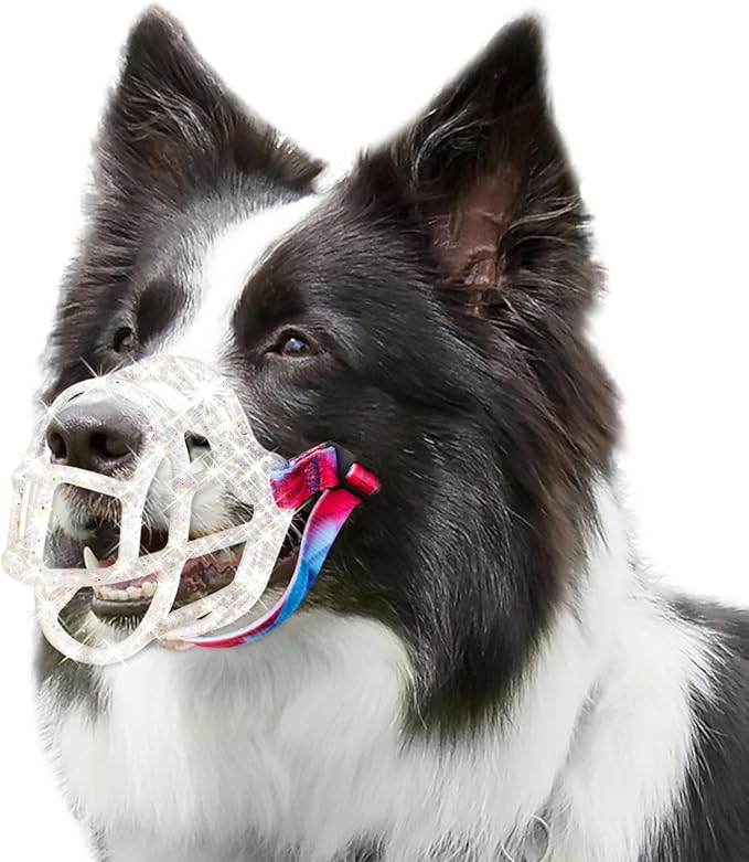 Dog Muzzle, OKKIC Basket Muzzle Anti Biting Chewing, Sturdy Lightweight Muzzle Allows Panting Drinking,Muzzle for Small Medium Large Dogs, Suitable for Grooming Trimming Training (Transparent, Size6)-PurrikoPets