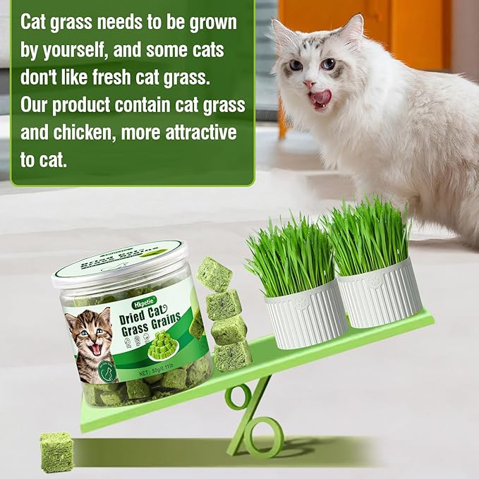 50g Cat Grass Teething Treat, Delicious Cat Grass Teething Snack Edible Cats Chew Toy for Teeth Cleaning and Hairball Removal-PurrikoPets