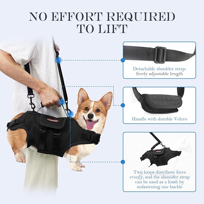 Dog Lift Harness, Full Body Dog Lift Harness, with Adjustable, Control Handle, for Senior Dogs, Post Surgery Recovery, Dogs with Joint Problems, Oxford Cloth L-PurrikoPets
