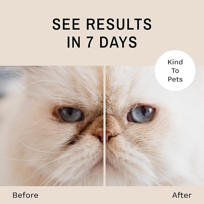 Eye Envy Tear Stain Remover Powder for Dogs and Cats. 100% Natural, Safe. Apply Around Eyes. Absorbs and Repels Tears. Keeps Area Dry. Treats The Cause of Staining. Made in The USA (1.4 oz)-PurrikoPets