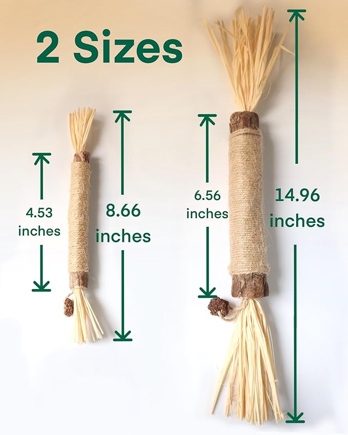 14.96 Inches Huge Silvervine Sticks Cat Toys, Large Natural Catnip Kittens Chew Toy for Teeth Cleaning,Big Catmint Blend Stick, Dental Kitty Chews for Indoor(2 Pack)-PurrikoPets