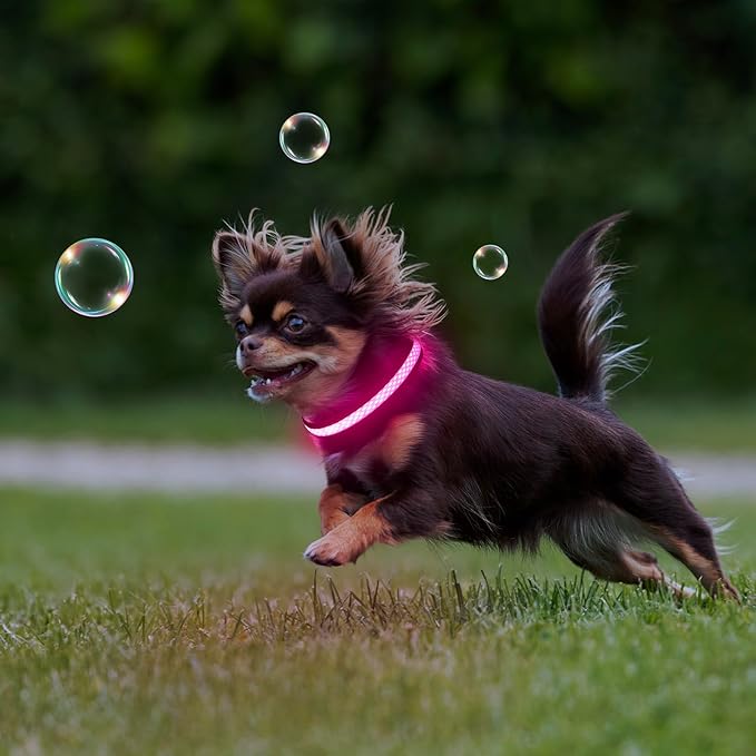 Flashseen LED Cat Collar,Light Up Dog Collar Rechargeable, Dog Lights for Night Walking, Comfortable Soft Mesh Pet Collar Adjustable for Cats Puppy and Small Dogs(Pink, XS)-PurrikoPets