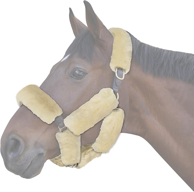 ECP Equine Comfort Products Merino Sheepskin Halter Fleece Set for Horses, 100% Natural Wool, Chafe Protection, Breathable Relief & Cushioned Comfort, Machine Washable, 9-Piece Set, Cream-PurrikoPets