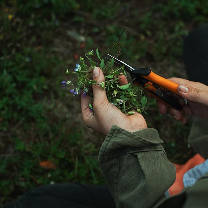 Fiskars Micro-Tip Pruning Snips - 6" Garden Shears with Sheath and Comfort Grip - Sharp Steel Blades - Quality Pruning Shears for Plants in Grow Tents and Hydroponics - Garden Tools-PurrikoPets