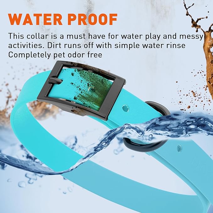 Dogline Biothane Waterproof Dog Collar Strong Coated Nylon Webbing with Black Hardware Odor- Proof for Easy Care Easy to Clean High Performance Fits Small Medium or Large Dogs, Sky Blue-PurrikoPets