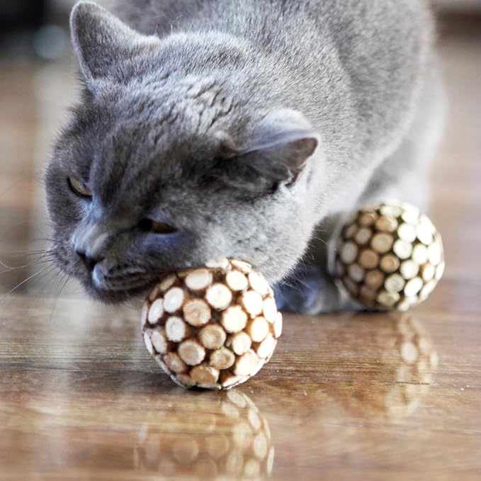 3PCS Cat Ball Toy,Silvervine Ball with Catnip Gall Fruit silvervine Sticks Powder Inside,Catnip Toys for Indoor Cats,Kitten Cleaning Teeth Cat Chew Toy-PurrikoPets
