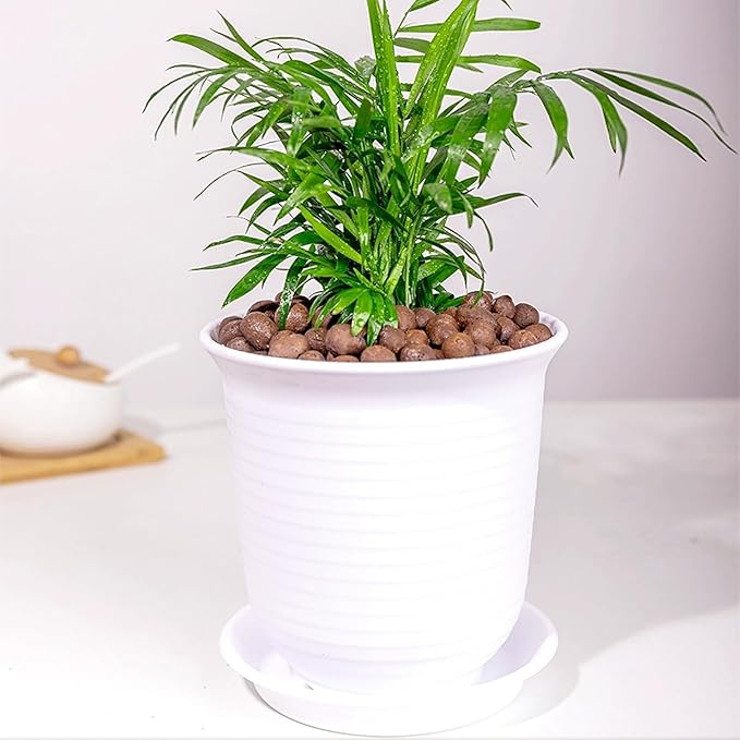 2 lbs Clay Pebbles for Plants, 8-12 mm Leca Clay Balls for Indoor Plants, Orchid Potting Mixes, Hydroponic Growing, Aquaponics, Potted Top Dressing and Drainage-PurrikoPets