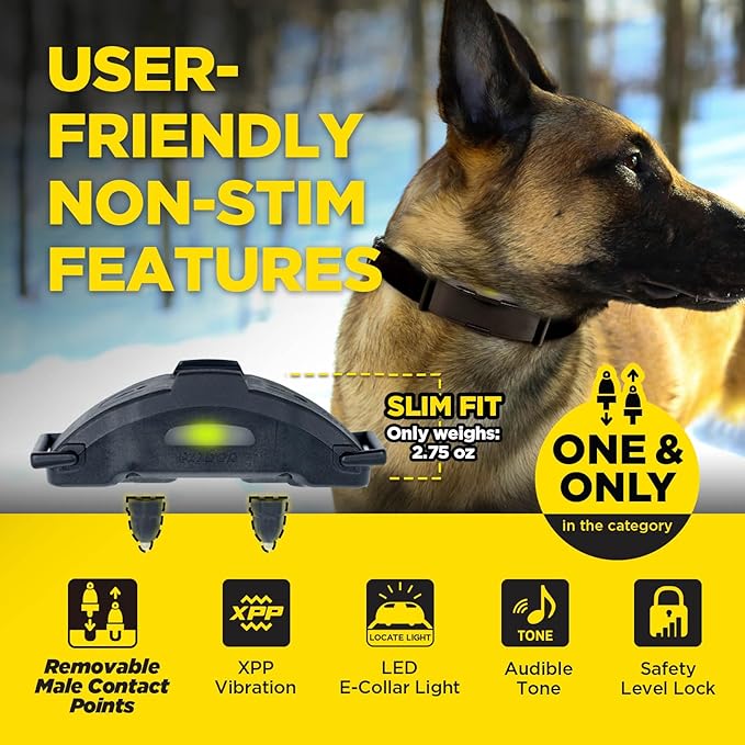 Dogtra ARC-X E-Collar for Dog Training - 3/4 Mile Range, for Dogs 15 lbs+, Slim Design, IPX9K Waterproof, 100 Stimulation Levels, Vibration, Tone, Rechargeable - Dog Owners and Professional Trainers-PurrikoPets