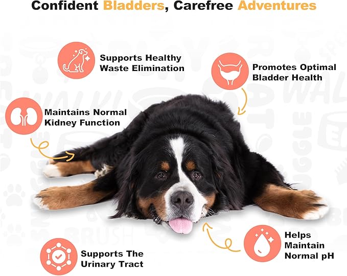 Doggie Dailies Cranberry Supplement for Dogs - Urinary Tract, Bladder & Kidney Support for Dogs - Cranberry for dogs with Marshmallow Root, Licorice Root & Apple Cider Vinegar (Chicken) 225 Soft Chews-PurrikoPets