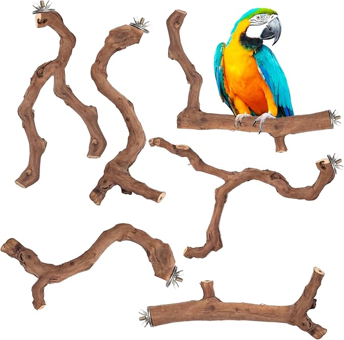6-Piece Premium Bird Perch Stand with Natural Grape Wood Branch, Paw Grinding Fork, Chewing Stick, Cage Accessories for Parakeets, Budgies, Cockatiels, Finches, Lovebirds-PurrikoPets