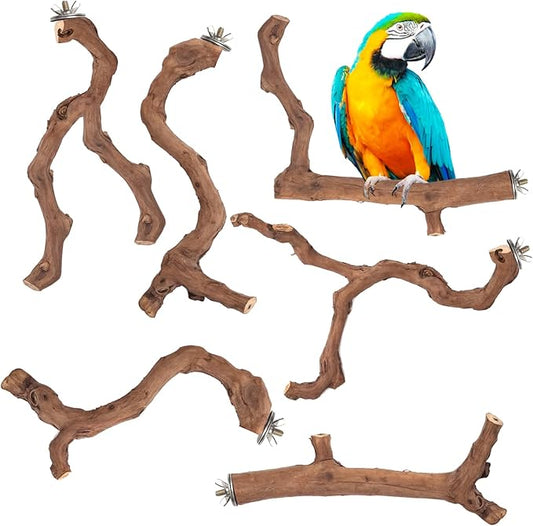 6-Piece Premium Bird Perch Stand with Natural Grape Wood Branch, Paw Grinding Fork, Chewing Stick, Cage Accessories for Parakeets, Budgies, Cockatiels, Finches, Lovebirds-PurrikoPets
