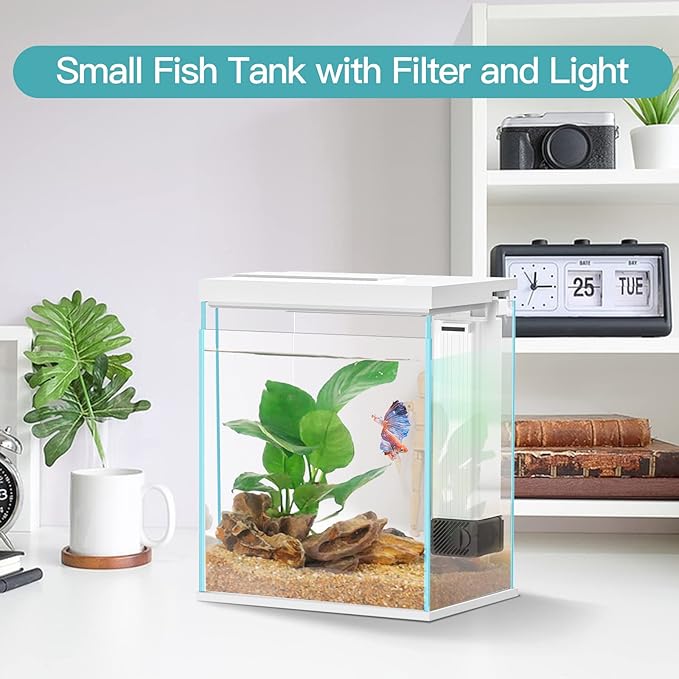 2 Gallon Glass Betta Fish Tank with Heater Filter and Light, Self-Cleaning Small Fish Tank Starter Kits.-PurrikoPets