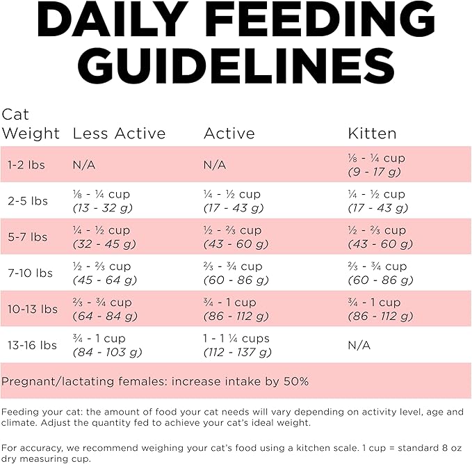 Go! Solutions Carnivore, Grain-Free, Protein Rich Dry Cat Food, Salmon and Cod Recipe, 3 lb Bag-PurrikoPets