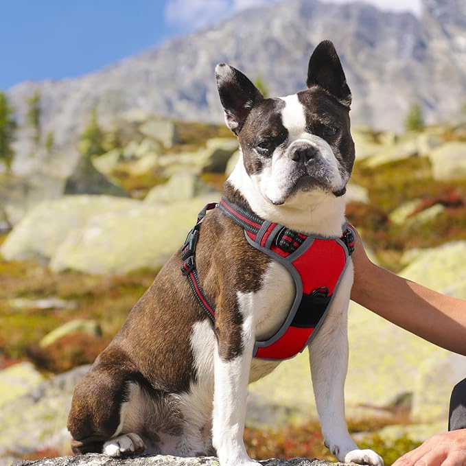 Eagloo Dog Harness Medium Sized Dog, No Pull Service Vest with Reflective Strips and Control Handle, Adjustable and Comfortable for Easy Walking, No Choke Pet Harness with 2 Metal Rings, Red, M-PurrikoPets