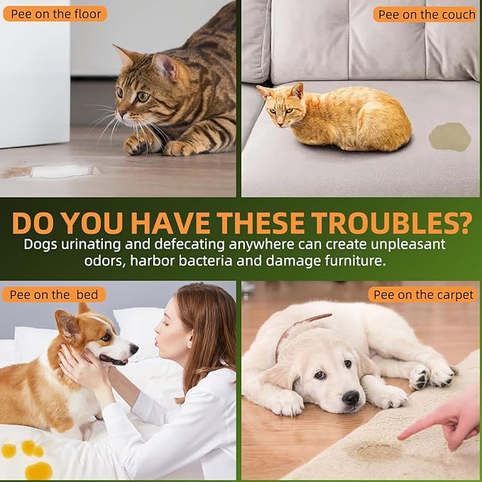 Dog Potty Training Spray for Dogs and Puppies - Go Here Attractant Spray to Pee and Poop in One Spot,Safe & Effective Puppy Pee Spray Indoor & Outdoor-Dog Training & Housebreaking Aid -100ml-PurrikoPets