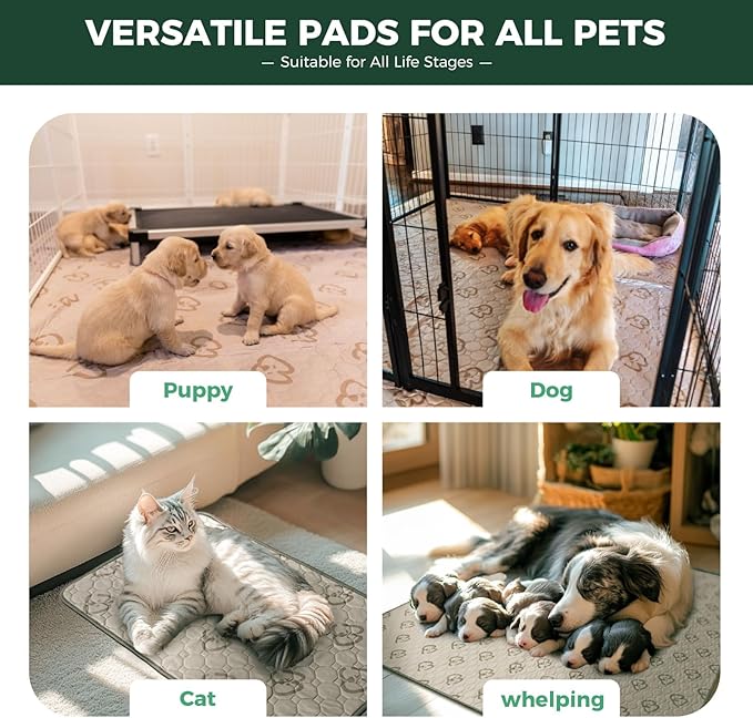 FXW Washable Pee Pads for Dogs, Puppy Pads with Super Absorbent, Specifically Designed for 42inch Cages, Rectangle, 41" x 27", 2 Packs-PurrikoPets