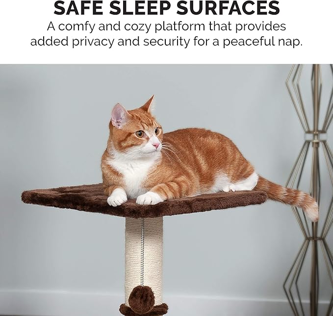 Furhaven 22.5" Tall Cat Tree for Indoor Cats, Ft. Sisal Scratching Post, Plush Ball Toy, & Busy Box Toy - Tiger Tough Scratching Post Interactive Playground - Brown, One Size-PurrikoPets