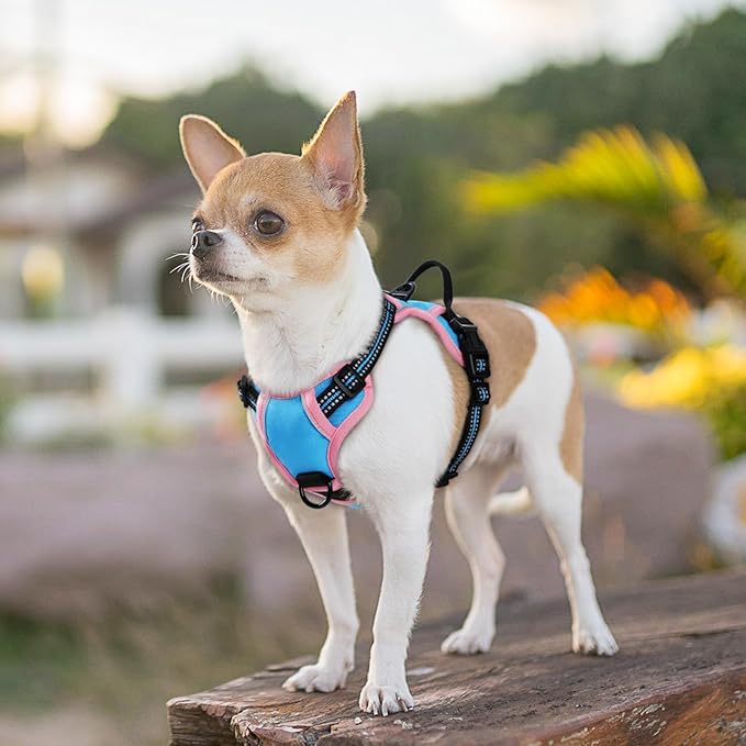 Eagloo Small Dog Harness No Pull, Service Vest with Reflective Strips and Control Handle, Adjustable and Comfortable for Walking, No Choke Pet Harness with 2 Metal Rings, Pink & Blue, XS-PurrikoPets