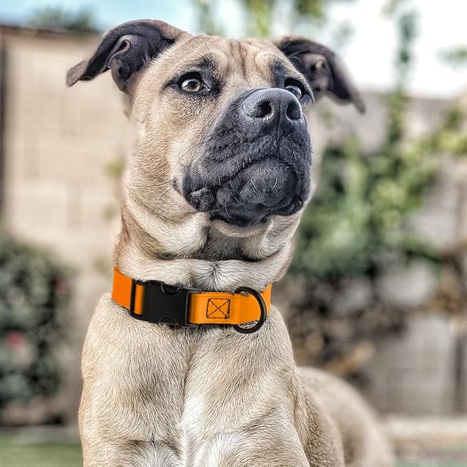 Dogline Biothane Waterproof Dog Collar with Quick Release Buckle Strong Coated Nylon Webbing with Odor- Proof for Easy Care Easy to Clean Fits Small Medium Large Dogs, Tangerine Orange 5/8" W 9-14" L-PurrikoPets