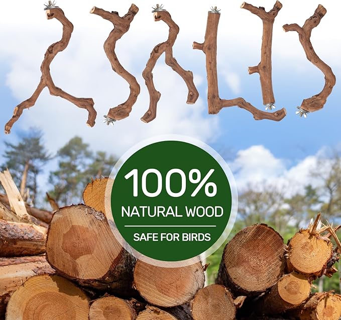 6-Piece Premium Bird Perch Stand with Natural Grape Wood Branch, Paw Grinding Fork, Chewing Stick, Cage Accessories for Parakeets, Budgies, Cockatiels, Finches, Lovebirds-PurrikoPets