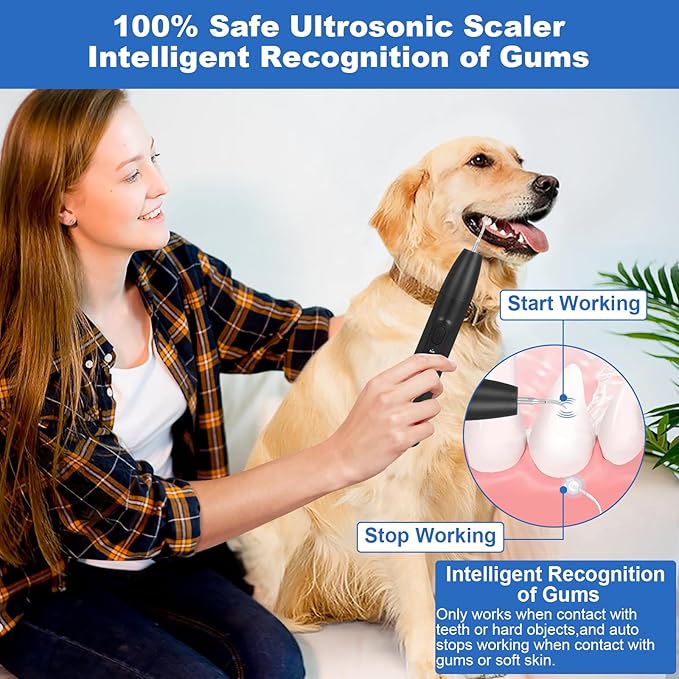 Dog Tooth Brushing Kit,Dogs Teeth Cleaning Kit with Light,3 Modes Doggie Plaque and Tartar Remover for Teeth,Low Noise Dog Teeth Cleaner and Dental Care, Black1-PurrikoPets