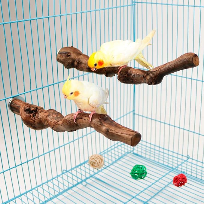 2 Packs Parrot Perch Stand,Natural Grapevine Wood Perch Parrots Cage Perch Toys Suitable for Small or Medium Parrots Parakeets Cockatiels Conures Lovebirds in Cage Accessories Supplies (Style-1)-PurrikoPets