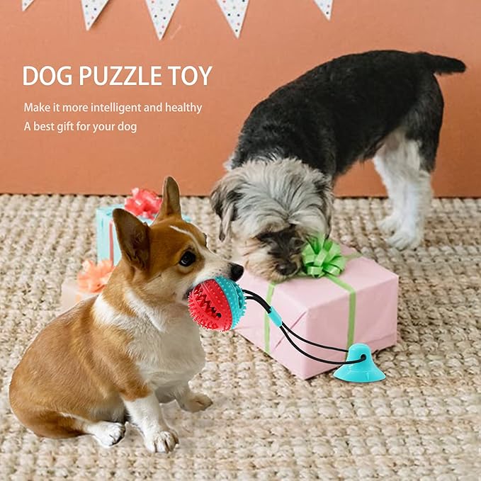 Dog Toys Dog Chew Toys for Aggressive chewers, Puppy Dog Training Treats Teething Rope Toys for Boredom Dog Puzzle Treat Food Dispensing Ball Toys for Puppies Teething (Blue)-PurrikoPets