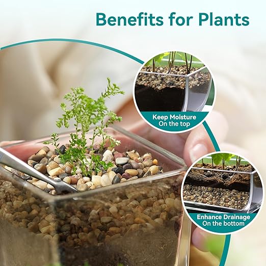 5 lbs Small Rocks for Plants, 1/5 Inch Gravel for Plants Drainage, Decorative Potting Pebbles for Indoor Plants, Vases, Bamboo, Succulent, Terrarium, Crafts, Cactus-PurrikoPets