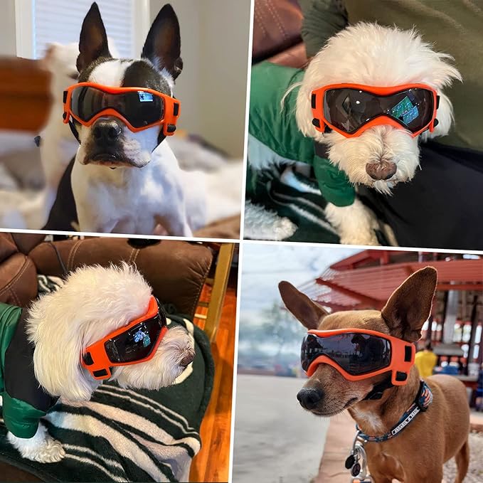 Dog Goggles Dog Sunglasses for Medium Breed UV Protection Windproof with Adjustable Head Straps Chin Straps for Ride Car/Hiking Travel/On Beach-Orange-PurrikoPets