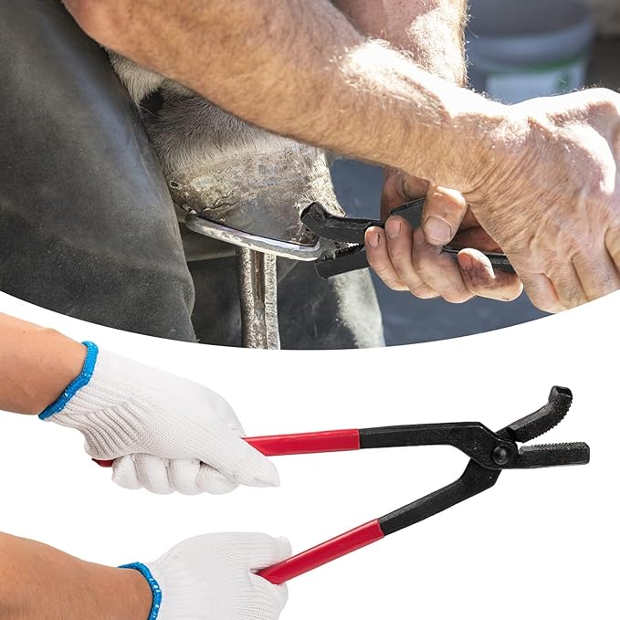 1112 Temp 11pcs Farrier Tools Farrier kit Horse shoeing Tools Farrier Supplies Farrier Tools for Horses Cattle Sheep and Donkeys-PurrikoPets