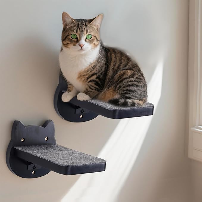 ESPETS Black Painted Solid Wood Cat Wall Climbing Steps Set of 3 - Wall Mounted Cat Floating Furniture Shelves and Perches, Sturdy Climber Stairs Ladders - Holds up 30lbs-PurrikoPets