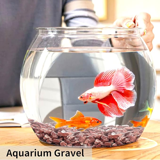 5 lbs Succulent and Cactus Pebbles for Indoor Plants, 3/8 Inch Pea Gravel Decorative Red River Rocks for Plants, Vases, Terrarium, Aquarium, Potted Top Dressing and Outdoor Landscaping Stones-PurrikoPets