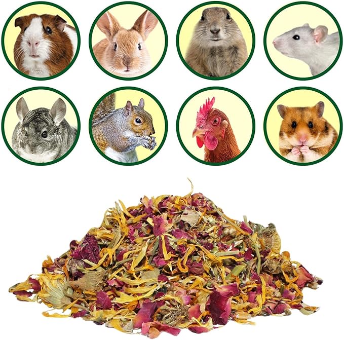 Flower Fusion Treat (1/2 lb) - Healthy Natural Dried Flower Herbivore Treat - Chinchillas, Guinea Pigs, Rabbits, Prairie Dogs, Degus, Hamsters, Rats, Squirrels, Sugar Gliders & Other Small Pets-PurrikoPets
