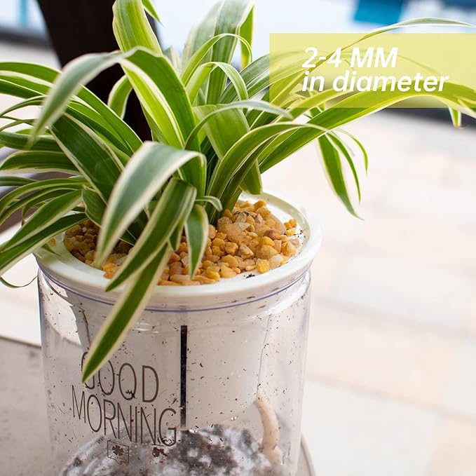 7lb Cactus Pea Gravel Rocks,1/5 Inch Pebbles for Indoor Plants, Natural Succulent Rock and River Rocks Decorative for Aquariums, Vases, Terrarium, Outdoor Gardening, Top Dressing for Potted Plants-PurrikoPets