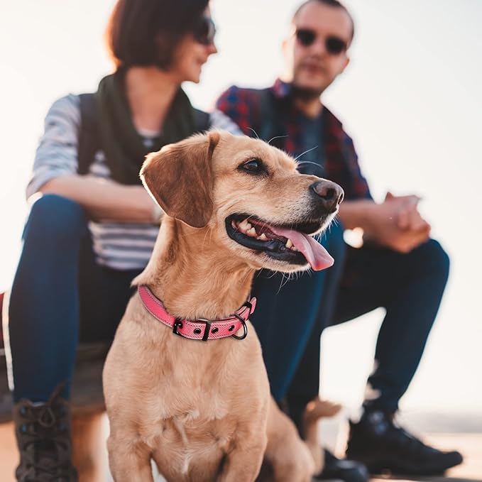 Fida Heavy Duty Dog Collar, Ultra Comfortable Soft Neoprene Padded, Adjustable Reflective Nylon Pet Collar with Durable Metal Belt Buckle for Small Breeds (S, Pink)-PurrikoPets