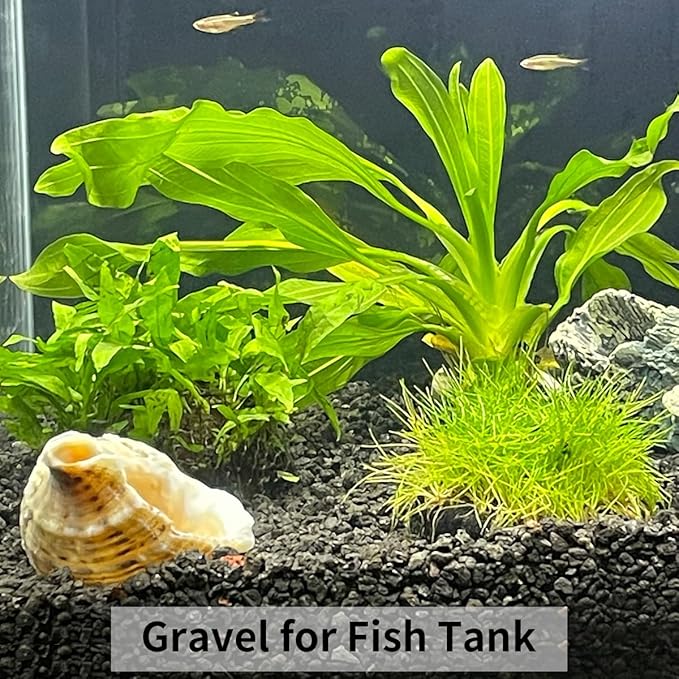 2lbs Black Gravel, 3/8 Inch Black Stones. Decorative Black Rocks for Succulent Plants, Vase, Cactus, Bamboo Plants and Outdoor Garden Landscaping-PurrikoPets