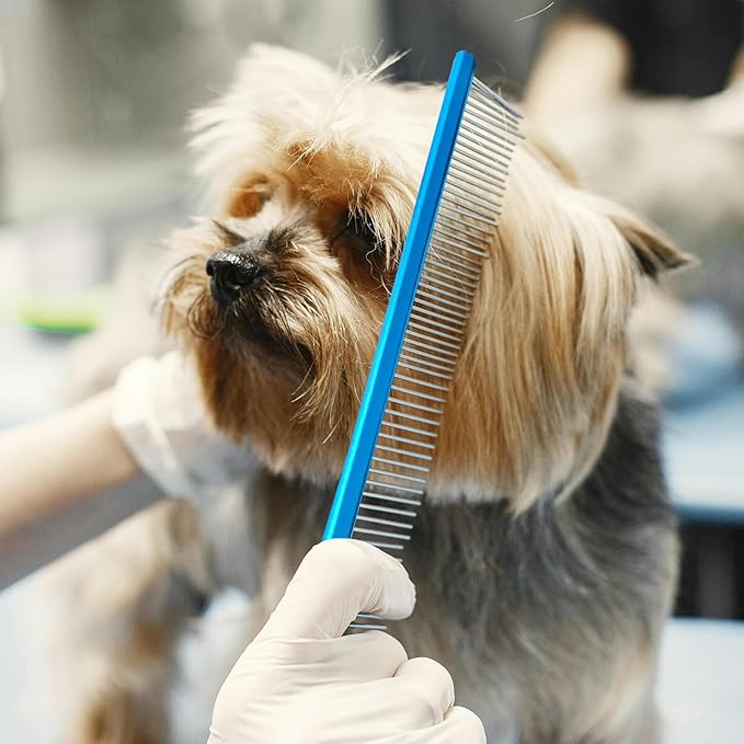 2 Pack Dog Combs with Stainless Steel Teeth Applicable to Cat Dog Comb Removing Tangles Easily Remove Dirt Grooming Anti-Slip Comfort Grip Handle （blue）-PurrikoPets