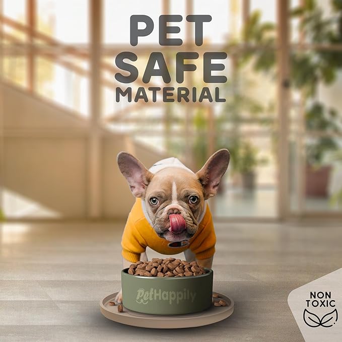 Dog Food Mat Round 10" - Raised Edges Dogs Mat for Food and Water Prevent Spill, Waterproof Cat Food Mats Protect Floors, Easy Clean Dog Bowl Mats for Food and Water, Silicone Pet Feeding Placemats-PurrikoPets