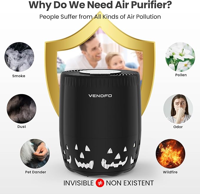 Air Purifiers for Home Bedroom up to 1076ft², True HEPA Air Filters Dust Pets Smoke Hair, 3 Fan Speeds Quiet, Timer Settings, Rechargeable Air Cleaner Office, Bedroom, Pets, Car(Black)-PurrikoPets