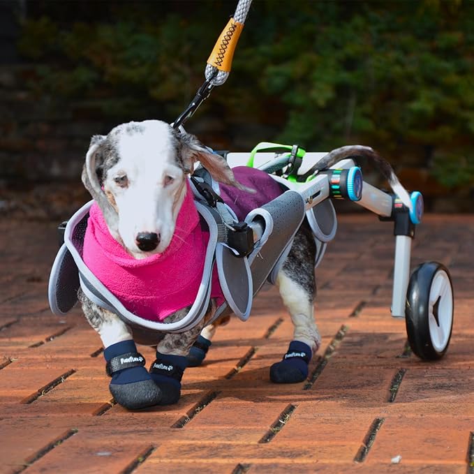 Double Dipped Thick Textured Waterproof Cotton Dog Socks | PawFlex Comfy Pawz Soft Indoor/Outdoor Pet Booties | Non-Slip Silicone Grip at Inner Wrist for No Twisting or Sliding Off| Adjustable Strap-PurrikoPets