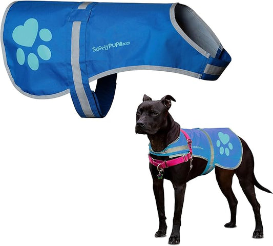 Dog Reflective Vest – Hi-Vis Fluorescent Visibility That Helps to Safeguard Your Pet On/Off Leash in Urban & Rural Areas (Blue, Medium)-PurrikoPets
