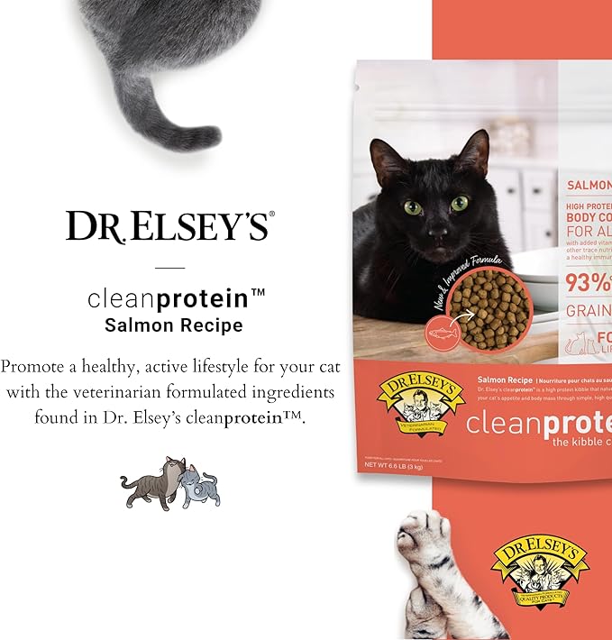 Dr. Elsey's Cleanprotein Salmon Formula Dry Cat Food, 6.6 Lb-PurrikoPets