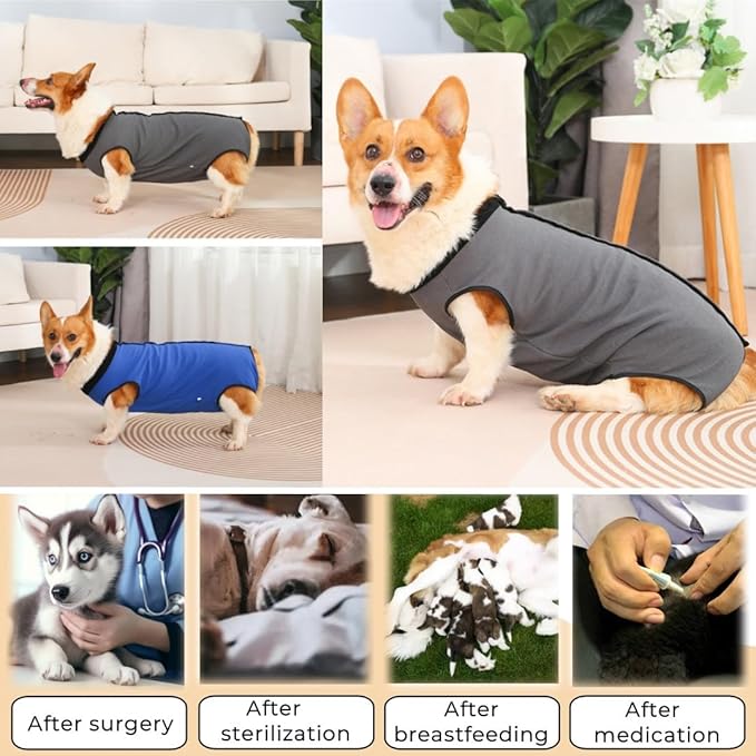 Dog Surgery Recovery Suit,Abdominal Surgical Suit for Dogs,Recovery Suit for Dogs,Prevent Licking Surgical Wound Dog Cone Alternative Blue L-PurrikoPets