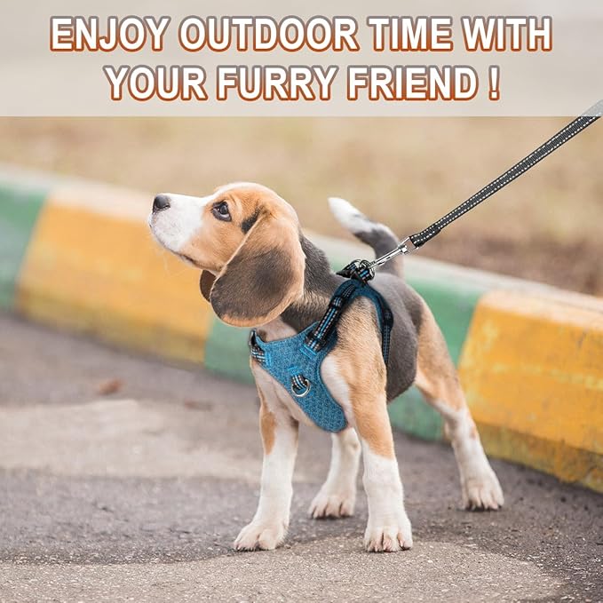 Dog Harness Step in Dog Vest Harness, Reflective Adjustable Puppy No Pull Harness Breathable Soft for Small and Medium Dogs Cats, Blue/Black, S-PurrikoPets