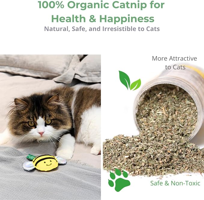 Eco-Friendly Cat Gift Box – 7-Piece Set with Organic Catnip Toys, Feather Wand, Blanket & Pop-Up Cat Cave for Indoor Cats and Kittens-PurrikoPets