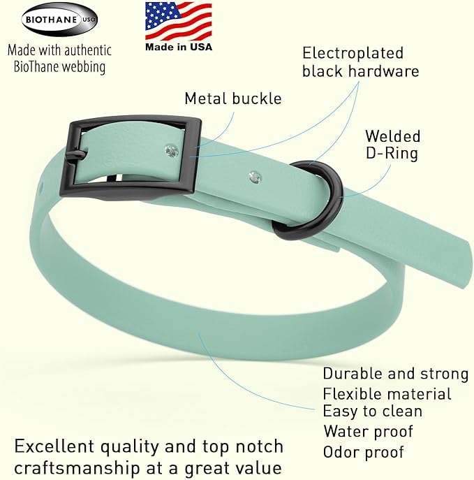 Dogline Biothane Waterproof Dog Collar Strong Coated Nylon Webbing with Black Hardware Odor- Proof for Easy Care Easy to Clean High Performance Fits Small Medium or Large Dogs, Sage Green-PurrikoPets