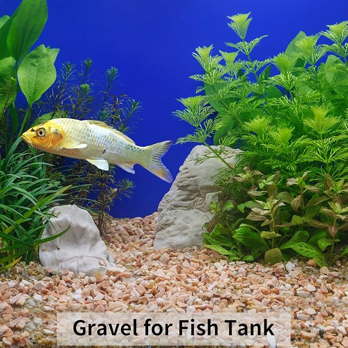 5lbs Natural Pea Gravel Pebbles, 3/8 Inch Decorative Succulent Rocks Pebbles for Indoor Plants. River Rocks for Vase and Outdoor Garden Landscaping Rocks-PurrikoPets