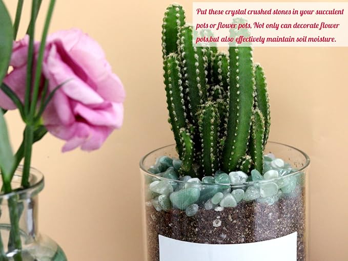 1lb Green Aventurine Aquarium Gravel Rocks Natural Tumbled Healing Crystal Chips Bulk Gemstones Crushed Stones for Fountain Vase Filler Planters Decorative Fish Tank Potted Reiki Energy Balancing-PurrikoPets