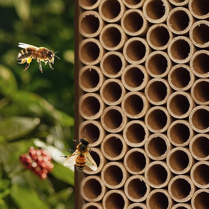 200pcs Cardboard Bee House Nesting Tubes - 6" Long X 5/16" Diameter Tube for Mason Solitary Bees - for Filling Insect Hotels and Bug Houses-PurrikoPets